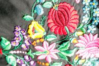 Unsere Tracht (3)
